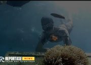 Surga Bawah Laut Gili Labak Memukau Wisatawan 18 Surga Bawah Laut Gili Labak Memukau Wisatawan