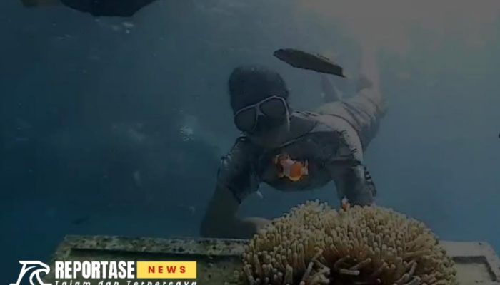 Surga Bawah Laut Gili Labak Memukau Wisatawan