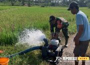 Optimalisasi Irigasi: Babinsa Nguter Dampingi Pompanisasi Lahan Pertanian 8 Optimalisasi Irigasi: Babinsa Nguter Dampingi Pompanisasi Lahan Pertanian