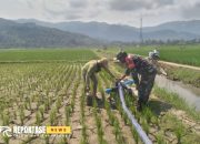 Babinsa Tempursari Optimalkan Bantuan Mesin Pompa Air Pertanian 15 Babinsa Tempursari Optimalkan Bantuan Mesin Pompa Air Pertanian