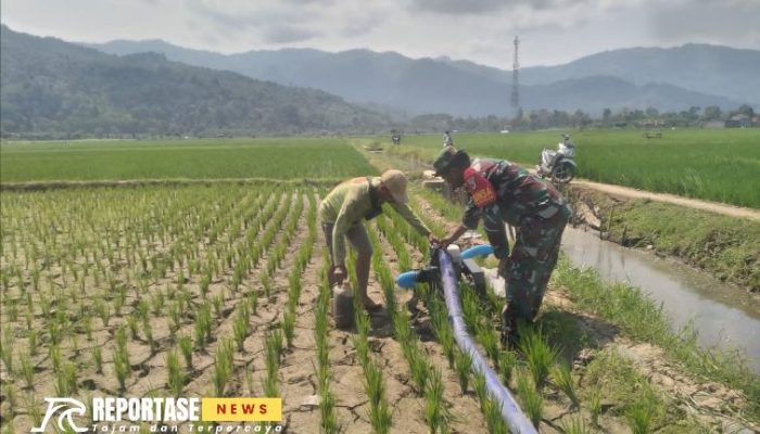 Babinsa Tempursari Optimalkan Bantuan Mesin Pompa Air Pertanian