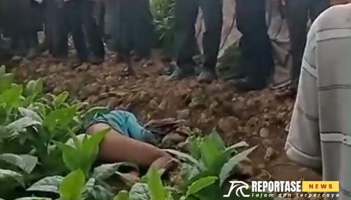 Warga Geger, Penemuan Mayat Laki-Laki di Ladang Tembakau Bukit Lanjari