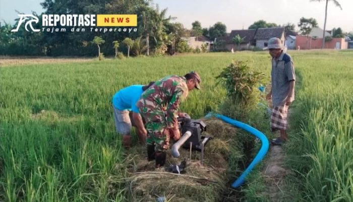 Babinsa Kebonagung Dukung Pengairan Optimal Pertanian Poktan Karya Agung 