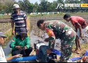 Babinsa Condro, Dampingi Pengairan Lahan Sawah Petani di Poktan Jaya Tani 11 Babinsa Condro, Dampingi Pengairan Lahan Sawah Petani di Poktan Jaya Tani