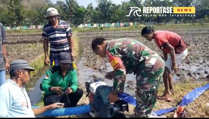 Babinsa Condro, Dampingi Pengairan Lahan Sawah Petani di Poktan Jaya Tani