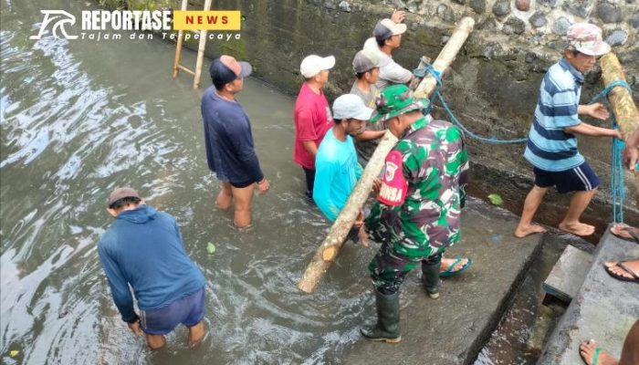 Kolam Ikan Air Tawar di Dusun Umbulsari: Pengembangan Sektor Perikanan