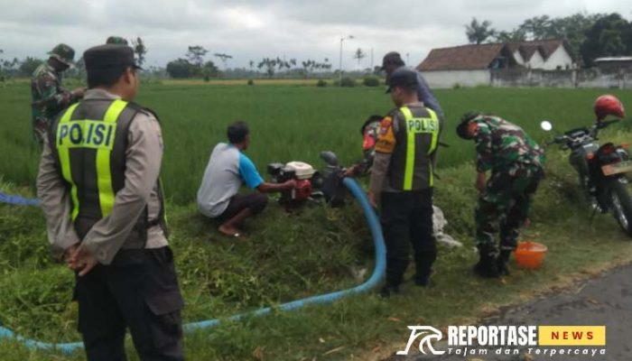 Kolaborasi Babinsa dan Babinkamtibmas Mojosari, Wujudkan Ketahanan Pangan di Sumbersuko