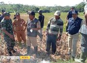 Pembasmian Hama Tikus di Desa Tanggung: Upaya Menjaga Produktivitas Pertanian