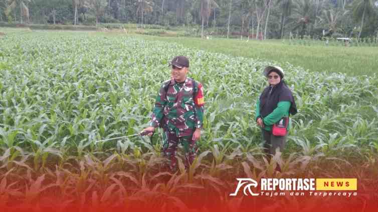 Bentuk kepedulian dan tanggung jawab sosial TNI