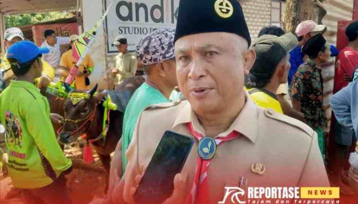 Seleksi Karapan Sapi di Sumenep: Langkah Awal Menuju Piala Presiden