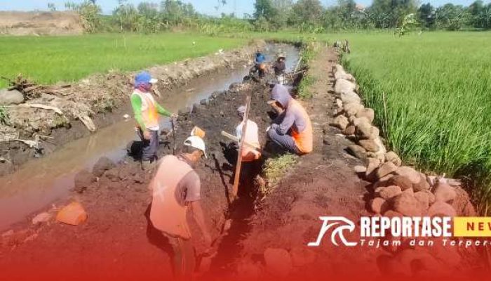 CV. Koes Perdana Klarifikasi Soal Dugaan Proyek Asal-asalan di Saluran Irigasi D.J Jatiampo