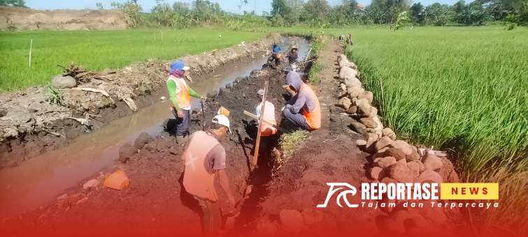 Pekerjaan saluran irigasi DJ jatiampo desa selogudig wetan