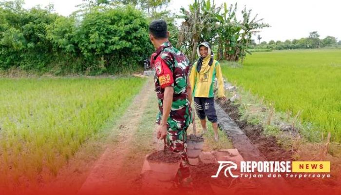Dukungan Babinsa Kraton untuk Ketahanan Pangan Lokal: Pembangunan Irigasi Kelompok Tani