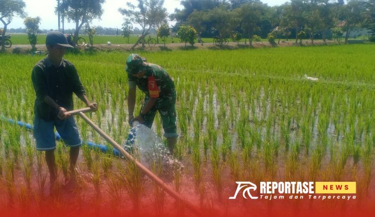 Pengelolaan irigasi dengan menggunakan pompa