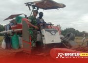 Kolaborasi Babinsa dan PPL dalam Upsus Hanpangan Tingkatkan Produktivitas Petani di Desa Rojopolo