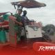 Pendampingan panen padi di lahan pertanian seluas 1 hektar milik Kelompok Tani “Asoka”