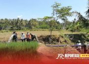 Babinsa Karanganom Pastikan Lahan Pertanian Tetap Produktif 11 Babinsa Karanganom Pastikan Lahan Pertanian Tetap Produktif