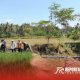 Babinsa Karanganom dari Koramil 0821-17/Pasrujambe Sertu Bejo Utomo bersama Himpunan Petani Air (Hippa)
