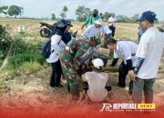 Babinsa Bersama Petani Labruk Kidul Pasang Titoalda, Harapan Baru Atasi Hama Tikus 9 Babinsa Bersama Petani Labruk Kidul Pasang Titoalda, Harapan Baru Atasi Hama Tikus