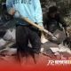 Kondisi proyek Bersumber dari Dana Desa yang di duga kuat pengadaan material nya berasal dari tambang elegal