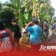 Antisipasi terhadap potensi bahaya yang ditimbulkan oleh pohon-