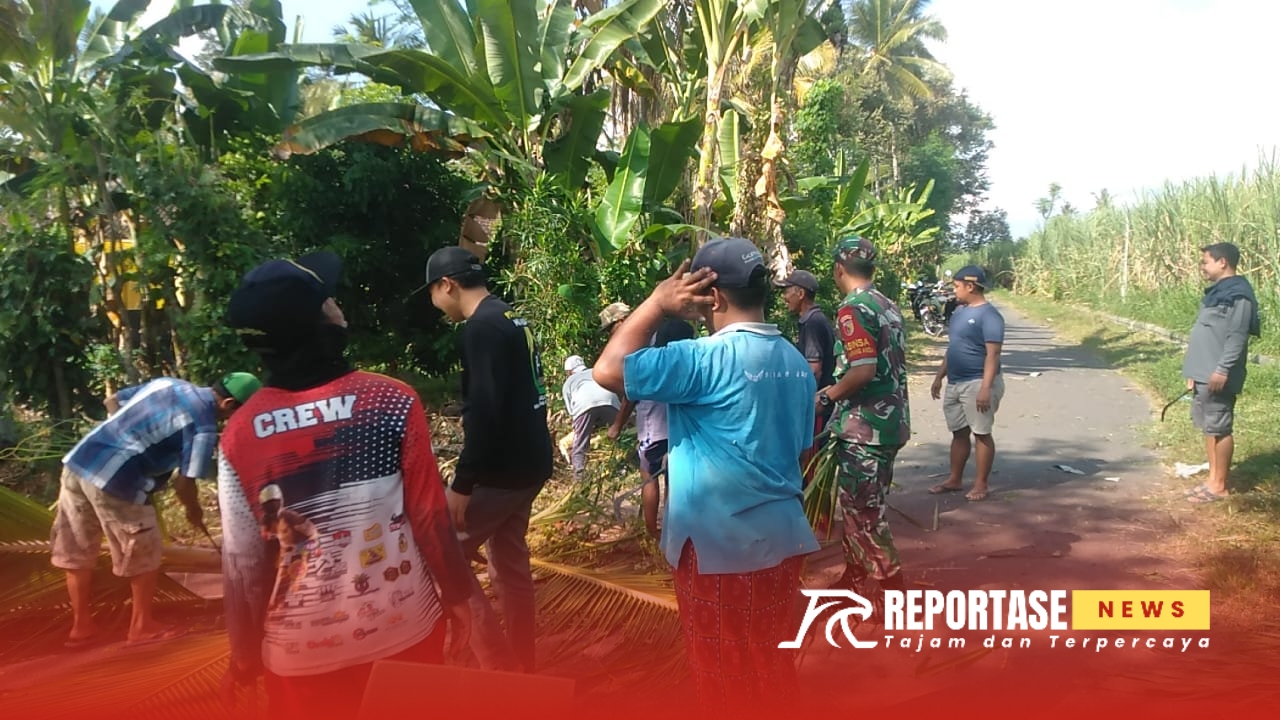 Antisipasi terhadap potensi bahaya yang ditimbulkan oleh pohon-