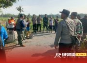 Pengendalian OPT: Upaya Efektif Peningkatkan Hasil Panen di Kecamatan Sumbersuko