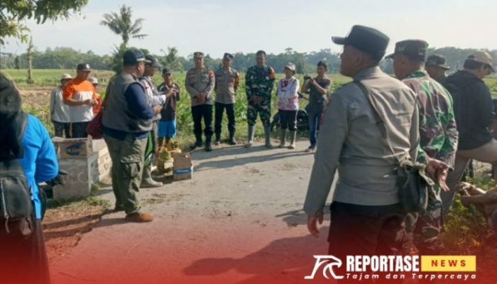 Pengendalian OPT: Upaya Efektif Peningkatkan Hasil Panen di Kecamatan Sumbersuko