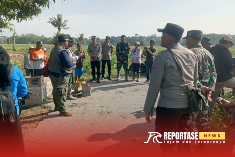 Serma Mansur melaksanakan pendampingan kegiatan pengendalian Organisme Pengganggu Tanaman (OPT