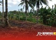 Pemborosan Tebu di PTPN 1 Glenmore, Warga Minta Perbaikan Lingkungan dan Fasilitas 3 Pemborosan Tebu di PTPN 1 Glenmore, Warga Minta Perbaikan Lingkungan dan Fasilitas