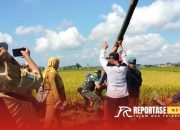 Pendampingan Babinsa Karangsari dalam Pengendalian Hama Tikus di Poktan Beji Jaya