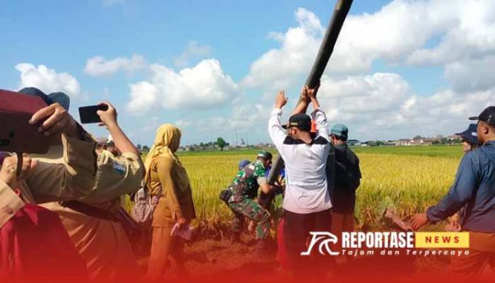 Pendampingan Babinsa Karangsari dalam Pengendalian Hama Tikus di Poktan Beji Jaya