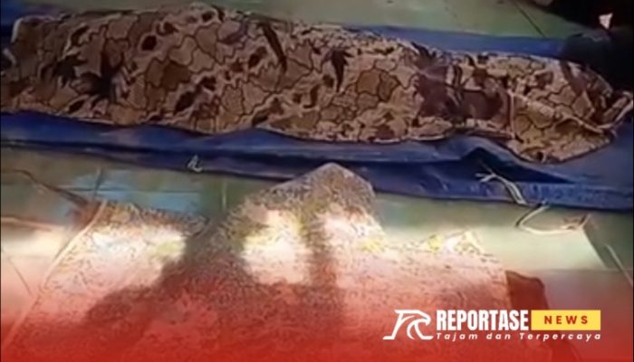 Ledakan di Rumah Warga Ganding Sumenep, Dua Orang Meninggal Dunia