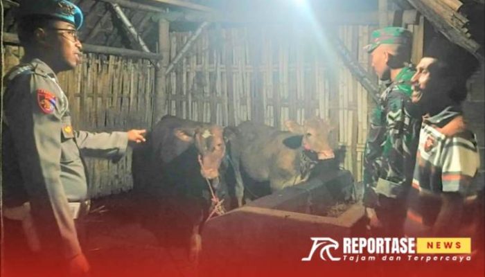 Patroli Malam, Polsek Kunir Jaga Keamanan Ternak Warga