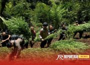 Polres Lumajang Temukan Lagi 1.500 Batang Tanaman Ganja di Lereng Semeru 7 Polres Lumajang Temukan Lagi 1.500 Batang Tanaman Ganja di Lereng Semeru