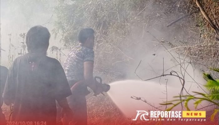 Lahan di Desa Kacongan Sumenep Dilalap Si Jago Merah