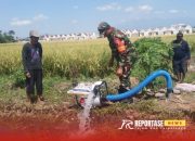 Efektifkan Pengairan Lahan, Babinsa Jatiroto Dukung Pemanfaatan Pompanisasi di Poktan Bangun Tani
