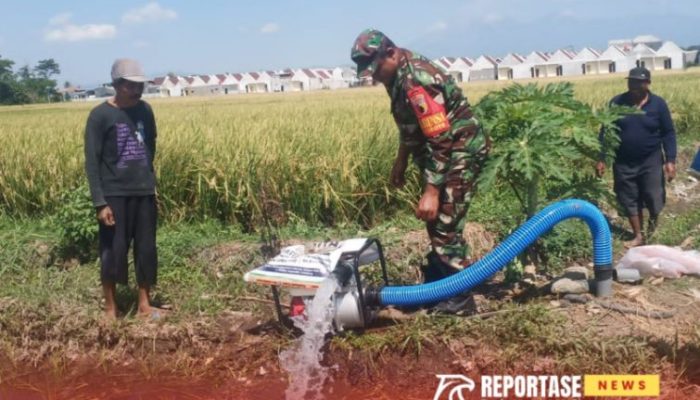 Efektifkan Pengairan Lahan, Babinsa Jatiroto Dukung Pemanfaatan Pompanisasi di Poktan Bangun Tani