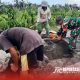 Pendampingan pembangunan saluran irigasi tersier sepanjang 50 meter di Dusun Krajan II