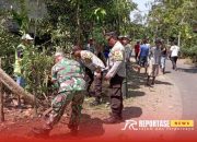 TNI-Polri Bersama Warga Gelar Karya Bakti Pelebaran Jalan di Dusun Curah Lengkong