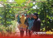 Wujudkan Kemandirian Pangan Melalui Program P2L