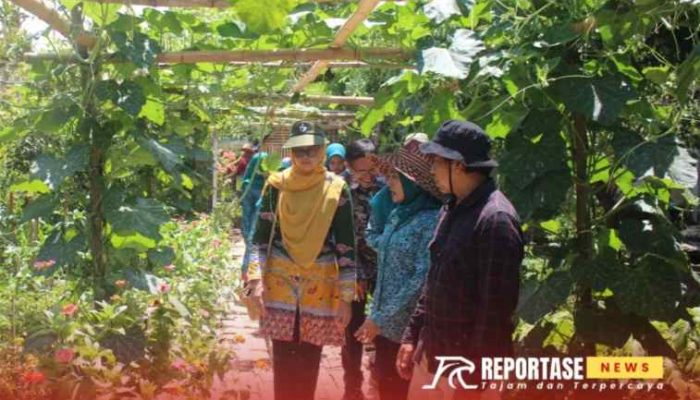 Wujudkan Kemandirian Pangan Melalui Program P2L