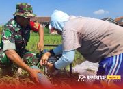 Babinsa Dawuhan Lor Dampingi Pengairan Lahan Pertanian