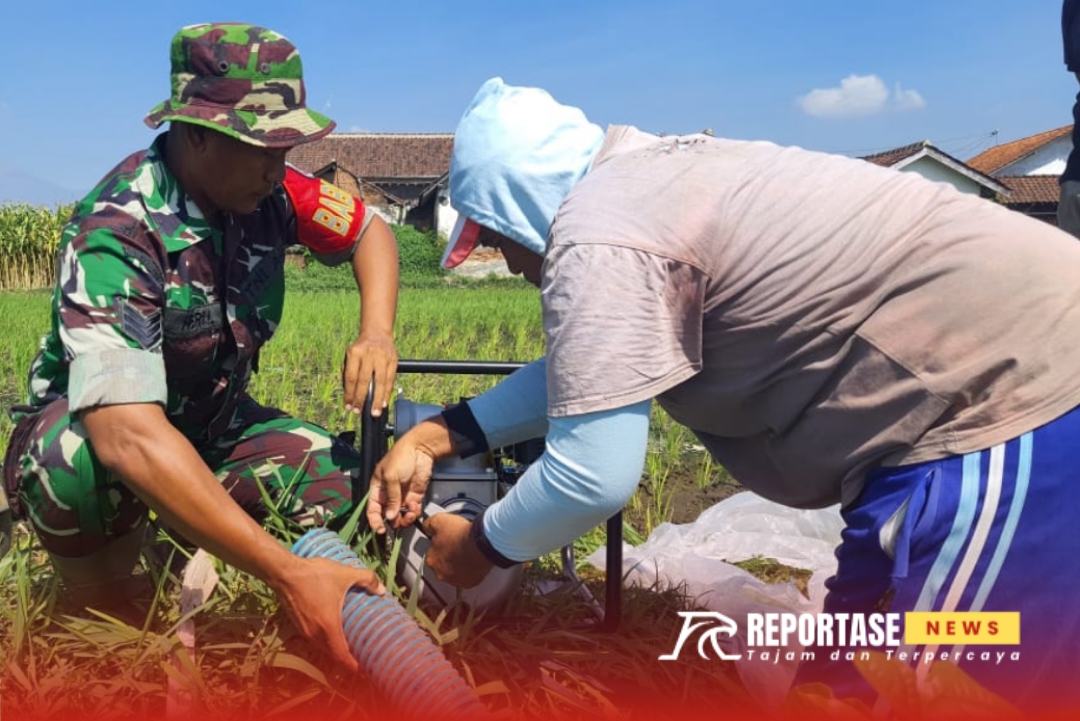 Serka Heri Lesmono, aktif melakukan pendampingan kepada para petani di wilayah Desa