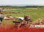 Pendampingan Pengolahan Lahan oleh Babinsa untuk Optimalkan Produktivitas Petani 10 Pendampingan Pengolahan Lahan oleh Babinsa untuk Optimalkan Produktivitas Petani