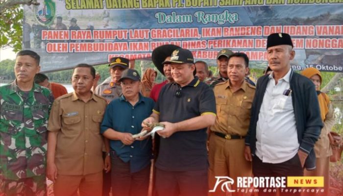 Pj Bupati Sampang Lakukan Kunjungan Panen Budidaya Rumput Laut Udang dan Bandeng di Desa Asem Nonggal