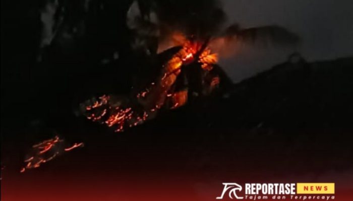 Kebakaran Lahan di Desa Lapa Laok Hanguskan Pohon Siwalan dan Kelapa