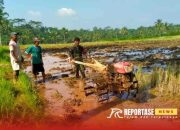Babinsa Banyuputih Lor Dampingi Pengolahan Lahan Pertanian dengan Hand Traktor