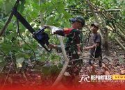 Kerja Bakti Babinsa Wotgalih dan Warga: Pemotongan Dahan Pohon untuk Akses Jalan Lebih Nyaman 8 Kerja Bakti Babinsa Wotgalih dan Warga: Pemotongan Dahan Pohon untuk Akses Jalan Lebih Nyaman