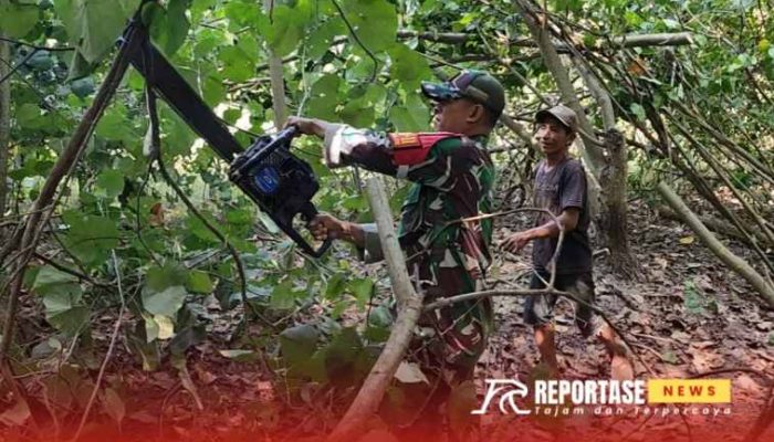 Kerja Bakti Babinsa Wotgalih dan Warga: Pemotongan Dahan Pohon untuk Akses Jalan Lebih Nyaman